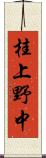 桂上野中 Scroll