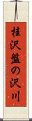 桂沢盤の沢川 Scroll