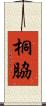 桐脇 Scroll