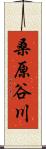 桑原谷川 Scroll