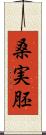 桑実胚 Scroll