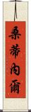 Santinel Scroll