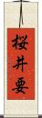 桜井要 Scroll