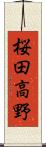 桜田高野 Scroll