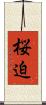 桜迫 Scroll