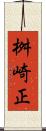 桝崎正 Scroll