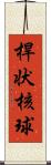 桿状核球 Scroll