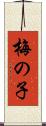 梅の子 Scroll