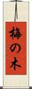 梅の木 Scroll