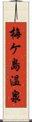 梅ケ島温泉 Scroll
