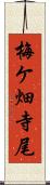 梅ケ畑寺尾 Scroll