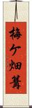 梅ケ畑篝 Scroll