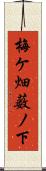 梅ケ畑薮ノ下 Scroll