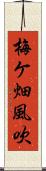 梅ケ畑風吹 Scroll