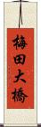 梅田大橋 Scroll