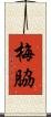 梅脇 Scroll