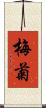 梅菊 Scroll