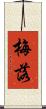 梅落 Scroll
