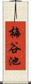 梅谷池 Scroll
