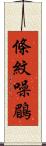 條紋噪鶥 Scroll