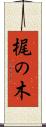 梶の木 Scroll