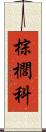 棕櫚科 Scroll