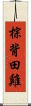 棕背田雞 Scroll