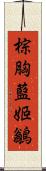 棕胸藍姬鶲 Scroll