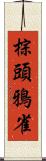 棕頭鴉雀 Scroll