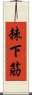 棘下筋 Scroll