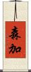 森加 Scroll
