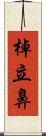 棹立鼻 Scroll