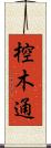 椌木通 Scroll