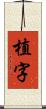 植字 Scroll