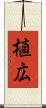 植広 Scroll