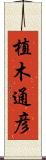 植木通彦 Scroll