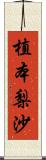 植本梨沙 Scroll