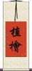 植檜 Scroll