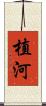 植河 Scroll