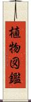 植物図鑑 Scroll