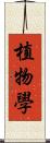 植物學 Scroll