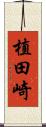 植田崎 Scroll