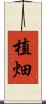 植畑 Scroll