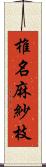 椎名麻紗枝 Scroll