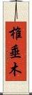 椎垂木 Scroll