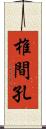 椎間孔 Scroll