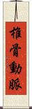 椎骨動脈 Scroll