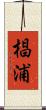 椙浦 Scroll