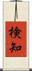 検知 Scroll