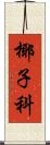 椰子科 Scroll